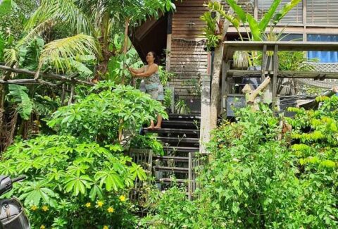 467610326_607310601810281_7988838656580828946_n