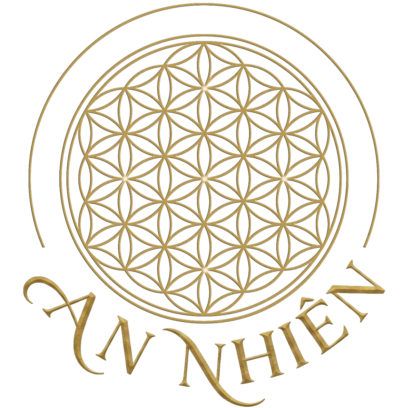 Cộng Đồng An Nhiên